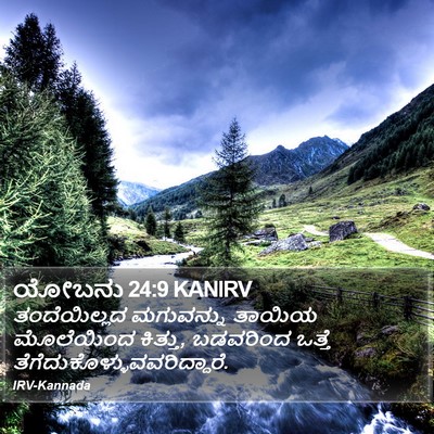 ಯೋಬನು 24:9 KANIRV Bible Verse Image