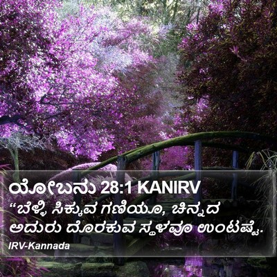 ಯೋಬನು 28:1 KANIRV Bible Verse Image