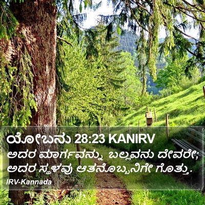 ಯೋಬನು 28:23 KANIRV Bible Verse Image