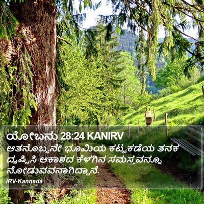 ಯೋಬನು 28:24 KANIRV Bible Verse Image