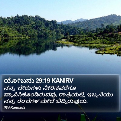ಯೋಬನು 29:19 KANIRV Bible Verse Image