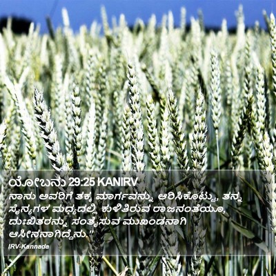 ಯೋಬನು 29:25 KANIRV Bible Verse Image