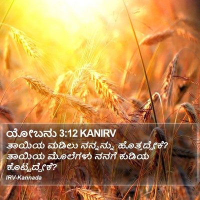 ಯೋಬನು 3:12 KANIRV Bible Verse Image