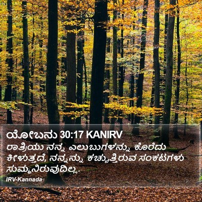 ಯೋಬನು 30:17 KANIRV Bible Verse Image
