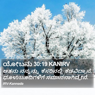 ಯೋಬನು 30:19 KANIRV Bible Verse Image
