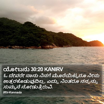 ಯೋಬನು 30:20 KANIRV Bible Verse Image