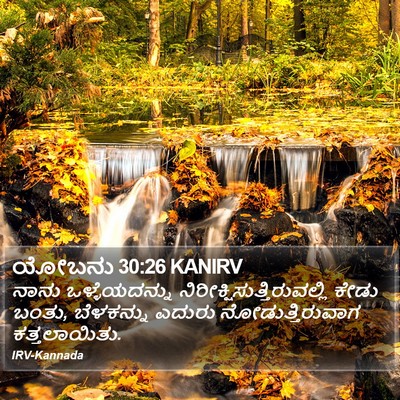 ಯೋಬನು 30:26 KANIRV Bible Verse Image
