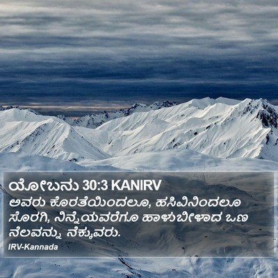 ಯೋಬನು 30:3 KANIRV Bible Verse Image