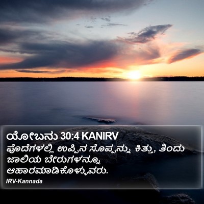ಯೋಬನು 30:4 KANIRV Bible Verse Image