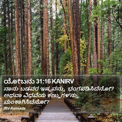 ಯೋಬನು 31:16 KANIRV Bible Verse Image