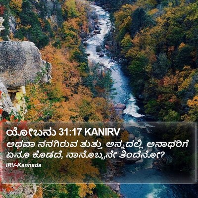 ಯೋಬನು 31:17 KANIRV Bible Verse Image