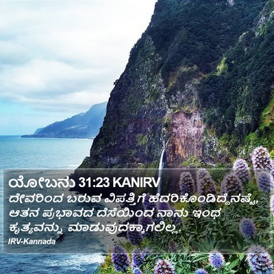 ಯೋಬನು 31:23 KANIRV Bible Verse Image