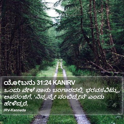 ಯೋಬನು 31:24 KANIRV Bible Verse Image