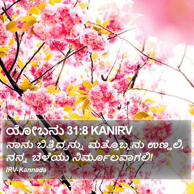 ಯೋಬನು 31:8 KANIRV Bible Verse Image