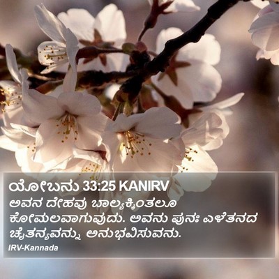 ಯೋಬನು 33:25 KANIRV Bible Verse Image