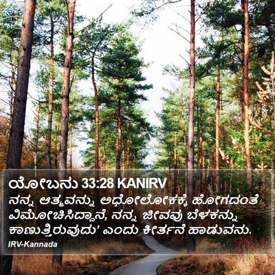 ಯೋಬನು 33:28 KANIRV Bible Verse Image