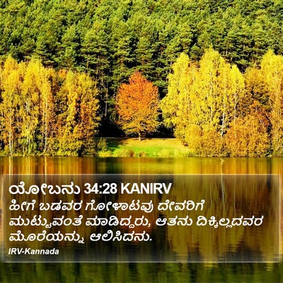 ಯೋಬನು 34:28 KANIRV Bible Verse Image