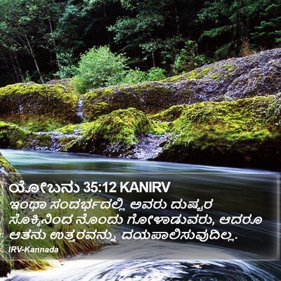 ಯೋಬನು 35:12 KANIRV Bible Verse Image