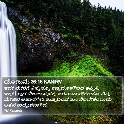ಯೋಬನು 36:16 KANIRV Bible Verse Image