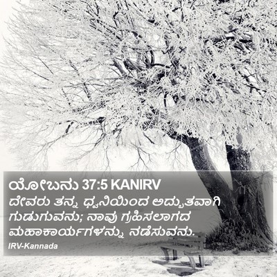 ಯೋಬನು 37:5 KANIRV Bible Verse Image