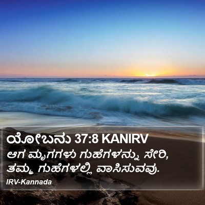 ಯೋಬನು 37:8 KANIRV Bible Verse Image
