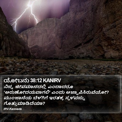 ಯೋಬನು 38:12 KANIRV Bible Verse Image