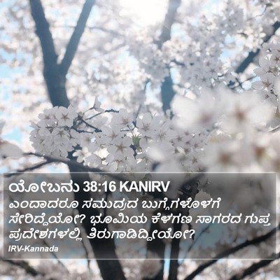 ಯೋಬನು 38:16 KANIRV Bible Verse Image