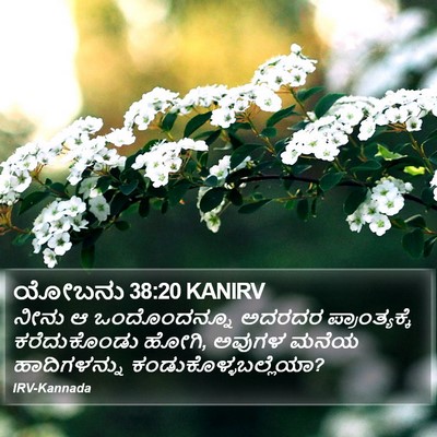 ಯೋಬನು 38:20 KANIRV Bible Verse Image