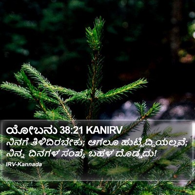 ಯೋಬನು 38:21 KANIRV Bible Verse Image