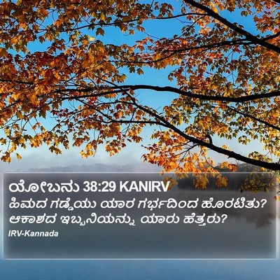 ಯೋಬನು 38:29 KANIRV Bible Verse Image