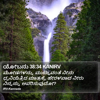 ಯೋಬನು 38:34 KANIRV Bible Verse Image