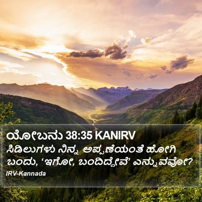 ಯೋಬನು 38:35 KANIRV Bible Verse Image
