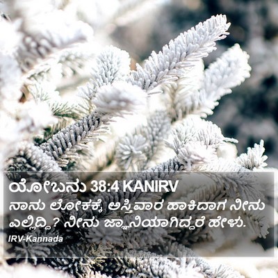 ಯೋಬನು 38:4 KANIRV Bible Verse Image