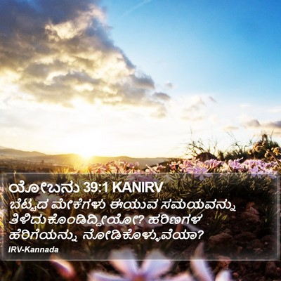 ಯೋಬನು 39:1 KANIRV Bible Verse Image