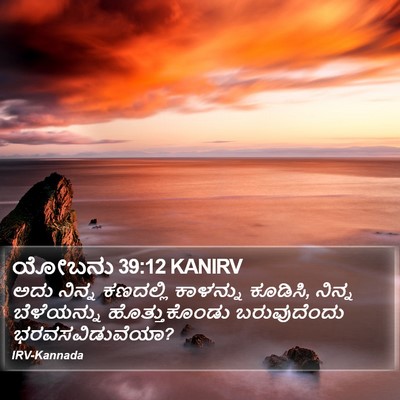 ಯೋಬನು 39:12 KANIRV Bible Verse Image