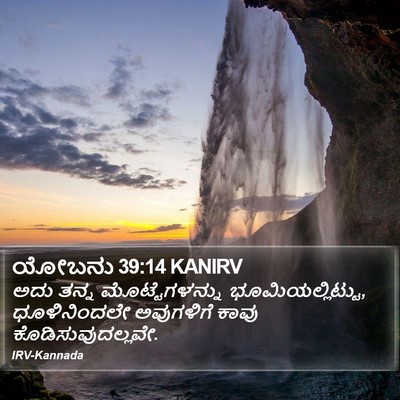 ಯೋಬನು 39:14 KANIRV Bible Verse Image