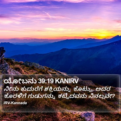 ಯೋಬನು 39:19 KANIRV Bible Verse Image