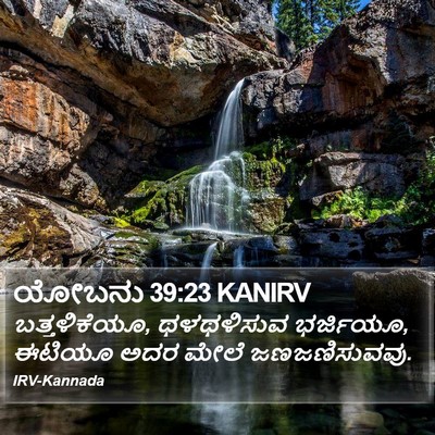 ಯೋಬನು 39:23 KANIRV Bible Verse Image