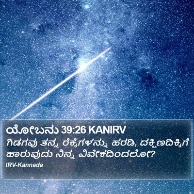 ಯೋಬನು 39:26 KANIRV Bible Verse Image
