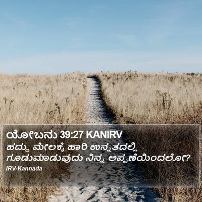 ಯೋಬನು 39:27 KANIRV Bible Verse Image