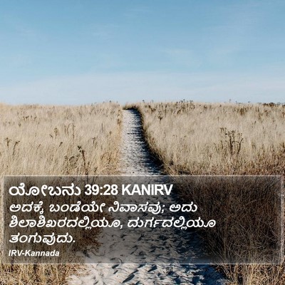ಯೋಬನು 39:28 KANIRV Bible Verse Image