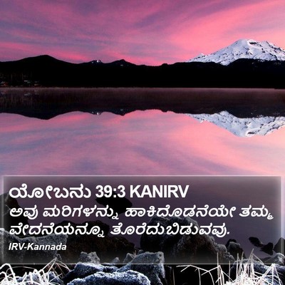 ಯೋಬನು 39:3 KANIRV Bible Verse Image