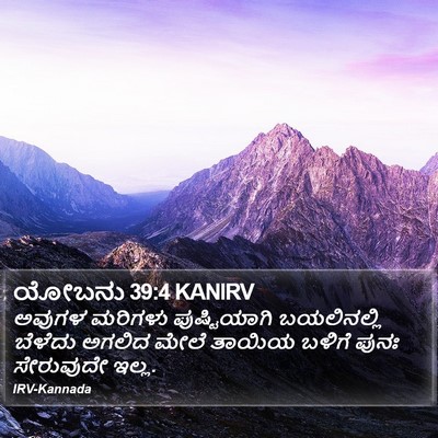 ಯೋಬನು 39:4 KANIRV Bible Verse Image