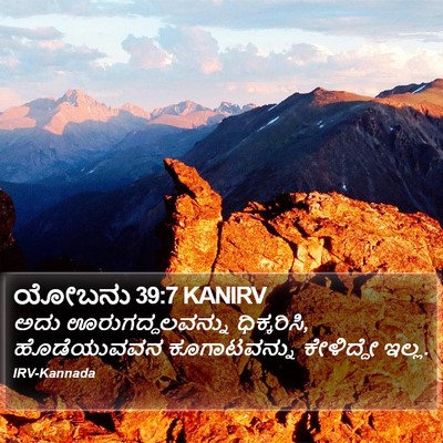 ಯೋಬನು 39:7 KANIRV Bible Verse Image