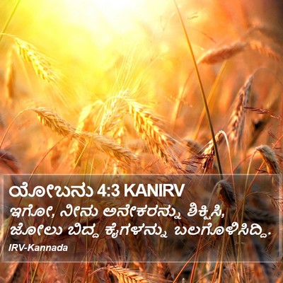 ಯೋಬನು 4:3 KANIRV Bible Verse Image