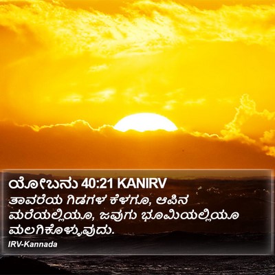 ಯೋಬನು 40:21 KANIRV Bible Verse Image