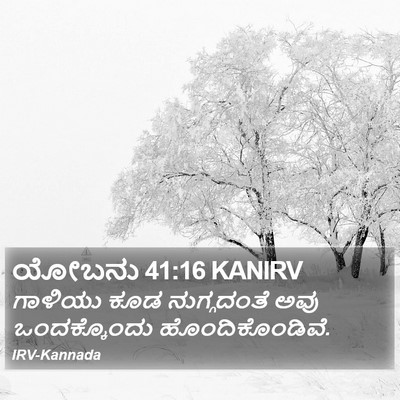 ಯೋಬನು 41:16 KANIRV Bible Verse Image