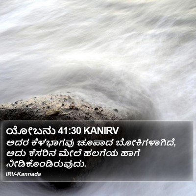 ಯೋಬನು 41:30 KANIRV Bible Verse Image