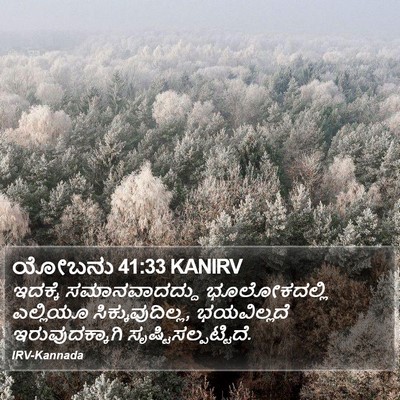 ಯೋಬನು 41:33 KANIRV Bible Verse Image