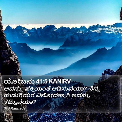 ಯೋಬನು 41:5 KANIRV Bible Verse Image
